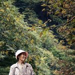 할머니의 마지막 <b>단풍</b>여행
