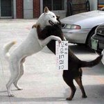 무료로 <b>안아</b>드려요~