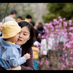 <b>부천</b> 진달래 축제에서