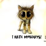 i <b>hate</b> mondays!!!!!!