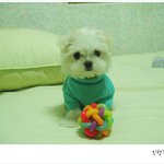 <b>시리</b>몽