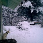 산골에 사는 <b>미진</b>이.