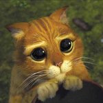 <b>슈렉</b>2고양이