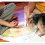 <b>지도</b>보는 강아지