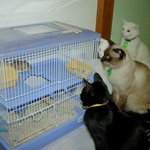 너 나오면 <b>주거</b>쓰~~