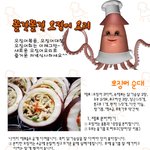 [펌] <b>쫄깃</b>~한 오징어 요리 좋아하세요?