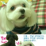 <b>뽀삐</b> vs 꼬리