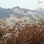 <b>남한</b>강변....