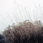 가을의 <b>언덕</b>, 그 위에서.... (3)