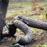 오묘한 자연의 <b>섭리</b>