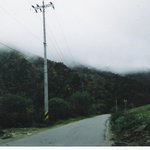 안개에 덮인 산자락에 보인 <b>단풍</b>