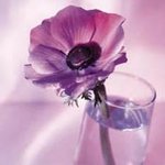 <b>여인</b>이여
