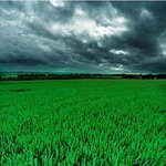 <b>english</b> summer