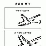 동물의 <b>왕국</b>