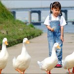 호기심