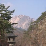 울산<b>바위</b>