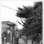 <b>도심</b>속의 타임머신