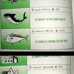 <b>이책</b> 한권이면 영어는 그냥 정복이지!