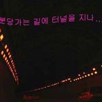 분당의 <b>율동</b>공원