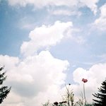 시월로망