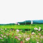 가을<b>문턱</b> 9월이 시작되었네요