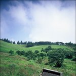 자연의 <b>선율</b>..