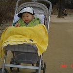 종묘에서의 <b>산책</b>미소