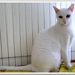 사랑스러운 <b>희빈</b>이