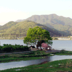 좀만 올립<b>니더</b>예10