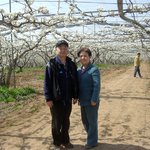 현명농장 <b>배꽃</b> 축제장에서....