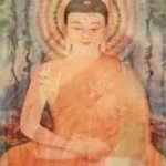 개티즌... 화제의 영상 99<b>동감</b>