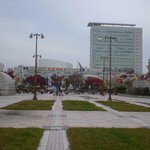 <b>단풍</b>나무(1)
