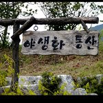<b>야생</b>화동산