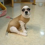 <b>아우</b>! 얘를 어��~ >.<