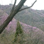 오늘은 마지막으로 더 올립<b>니더</b>예10