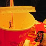 <b>바퀴</b>벌레가 콜라속에?