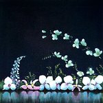 <b>calm</b> reflections