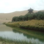 사막의 오아시스 입니다.
