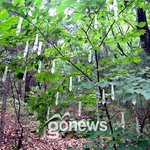 콘돔 이용한 <b>예술</b>작품