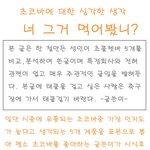 초코바에 대한 <b>심오</b>한 관찰! 그거 먹어봤어?