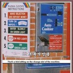 <b>동전</b>교환기에서 돈 훔치는 새