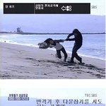 러브<b>스토</b> 인 하버드격투기