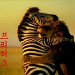 안아주<b>세요</b>~ 프리허그