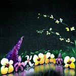 <b>golden</b> reflections