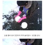 눈으로 <b>이글루</b> 만들었다!!