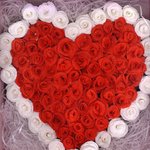 <b>천사님</b>... ! 생일 축하해요.....