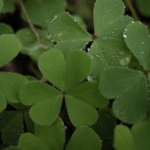 세입크<b>러버</b>~~~~~