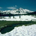 보기가 좋아서 <b>올리</b>내여