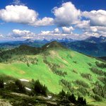 화면이 좋아서 <b>올리</b>내예3