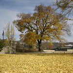 이완호영상/갤러리꿈/가을의 끝/dreamgallery.<b>org</b>